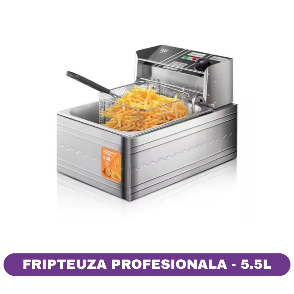 Friteuza profesionala RAF R.5220, 2500W, inox
