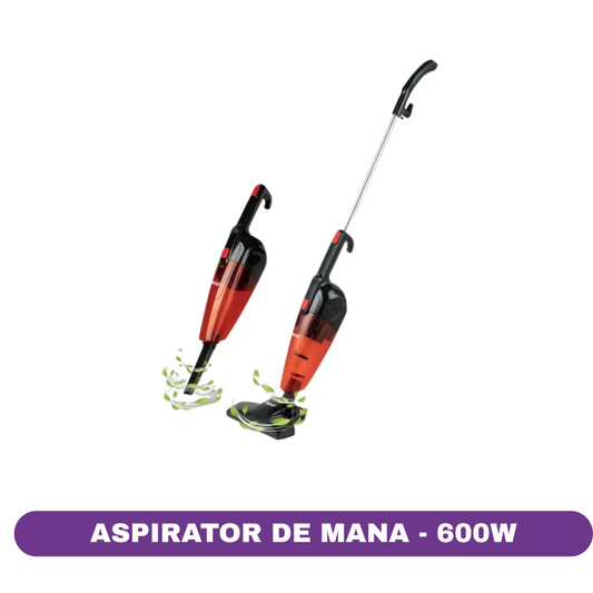 Aspirator Electric Stick & Mână RAF, 600W